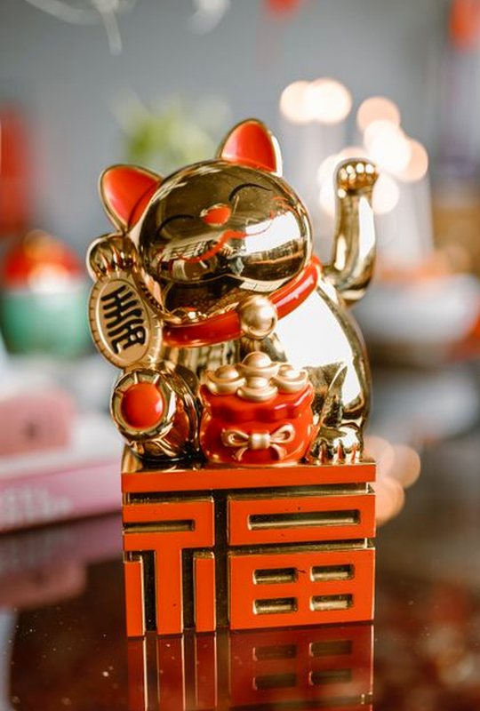 giấy phép Debet